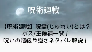 Noroi113