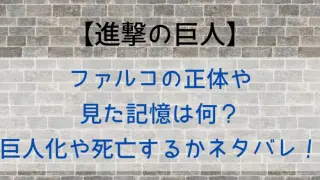 Attackontitan Falco Identity