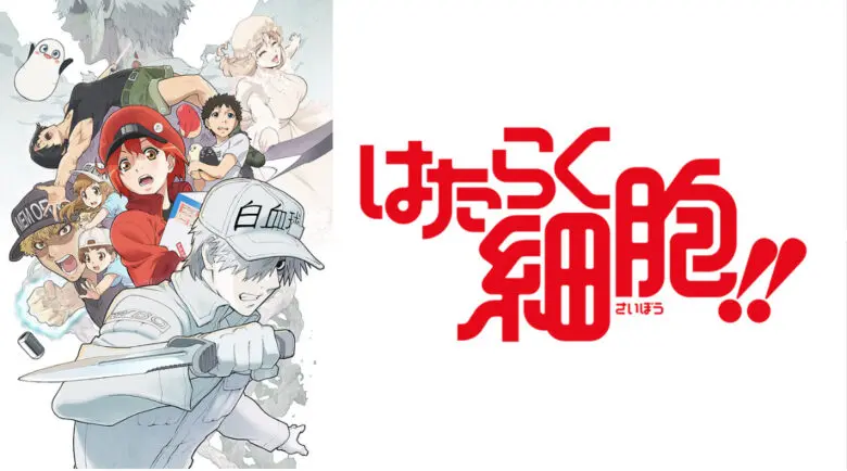 Hatarakusaibou2 Anime Video