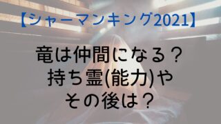 【シャーマンキング】竜は仲間になる？持ち霊(能力)やその後は？