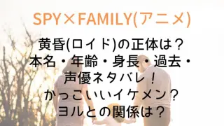 Spy Tasogare Who