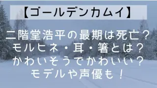 Kinmamu514