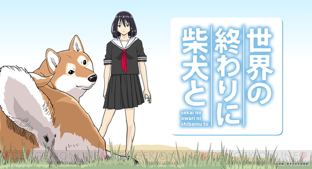 shibainuto