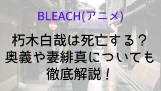 【BLEACH(アニメ)】朽木白哉は死亡する？奥義や妻緋真についても徹底解説！