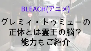 Bleach Guremi Who