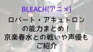 【BLEACH(アニメ)】ロバート・アキュトロンの能力まとめ!京楽春水との戦いや声優もご紹介