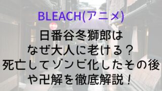 【BLEACH(アニメ)】日番谷冬獅郎はなぜ大人に老ける?死亡してゾンビ化したその後や卍解を徹底解説!