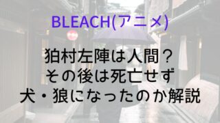 【BLEACH(アニメ)】狛村左陣は人間？その後は死亡せず犬・狼になったのか解説