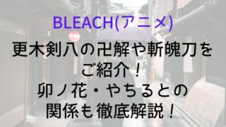 【BLEACH(アニメ)】更木剣八の卍解や斬魄刀をご紹介!卯ノ花・やちるとの関係も徹底解説!