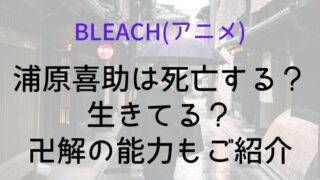 【BLEACH(アニメ)】浦原喜助は死亡する？生きてる？卍解の能力もご紹介