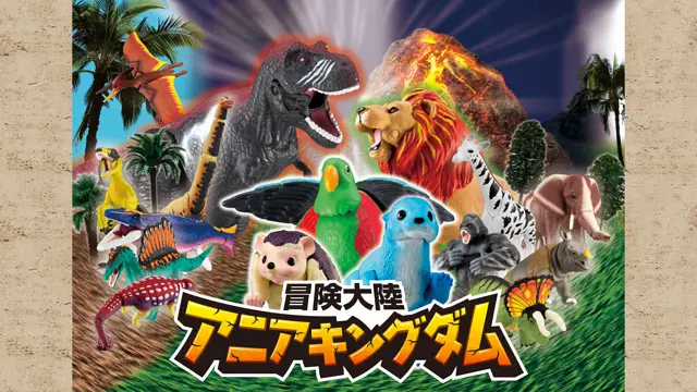 Aniakingdom Anime Video