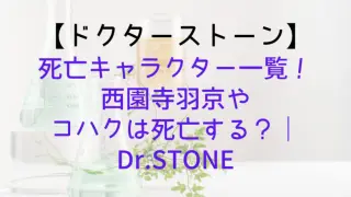 Drstone Character List
