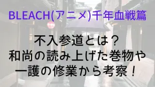 Bleach Irazusanndou What