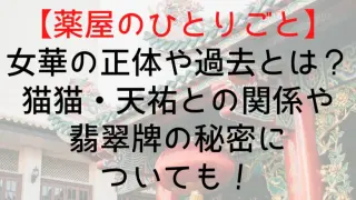 Kusuriyanohitorigoto Joka Who