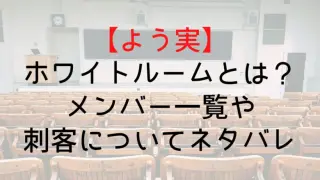 Youzitsu White Room