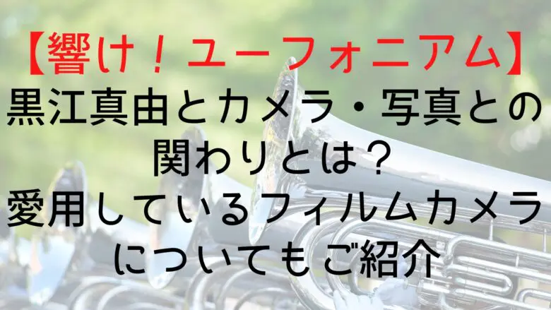 Hibieuph Kuroe Camera