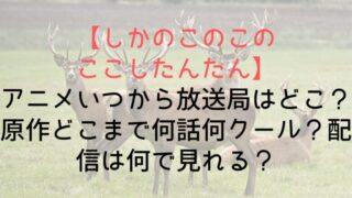 【しかのこのこのここしたんたん】アニメいつから放送局はどこ？原作どこまで何話何クール？配信は何で見れる？