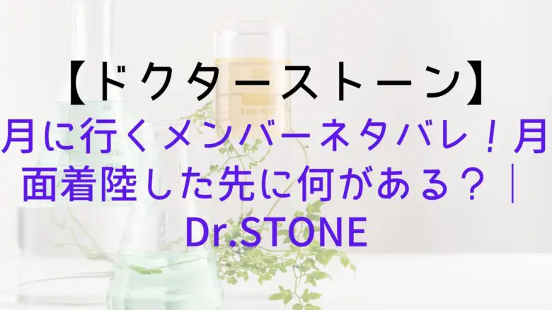 Drstone Moon Go