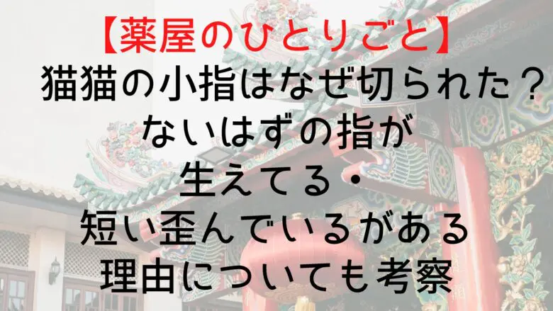 Kusuriyanohitorigoto Nekoneko Finger