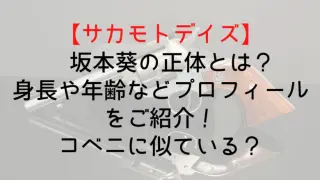 Sakamotodays Aoi Who