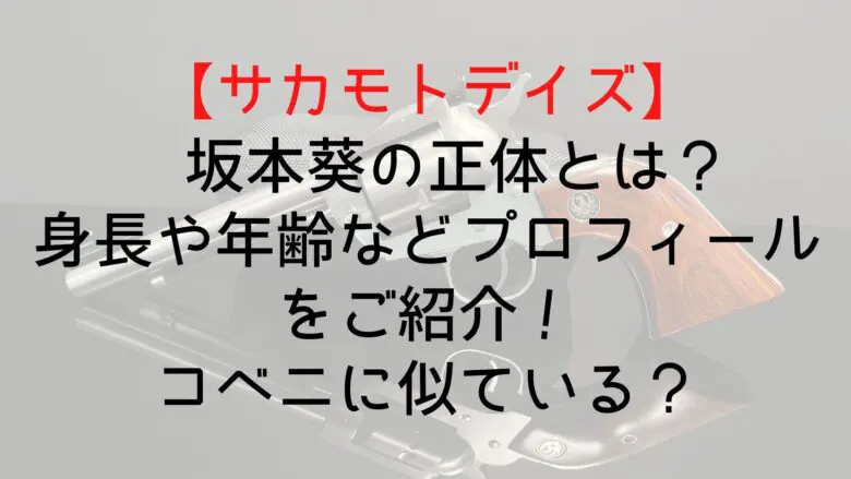 Sakamotodays Aoi Who