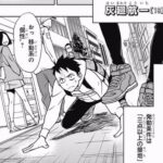 vigilamtey-haimawari