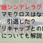 【ウマ娘シンデレラグレイ】タマモクロスはなぜ引退した?オグリキャップとの関係についても解説