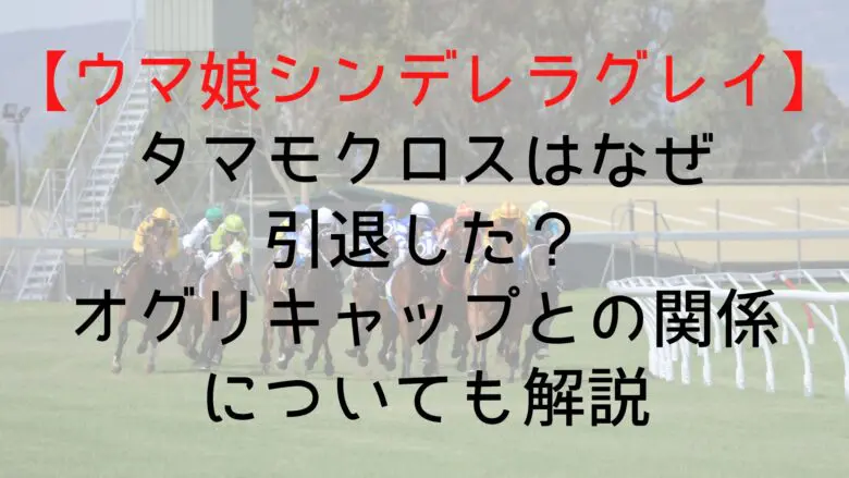 Cinderellagray Tamamokurosu Who