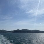 summerpoketto-seiti2