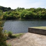 summerpoketto-seiti4