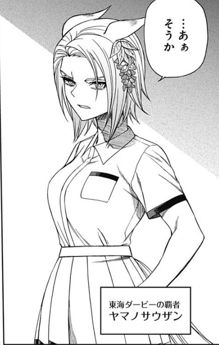 cinderellagray-yamanonouzan