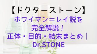 Drstone Sai Who