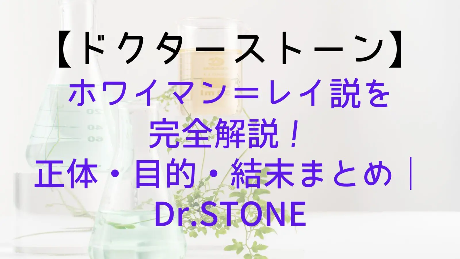 Drstone Sai Who
