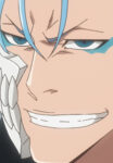 Bleach Gurimujyo (1)