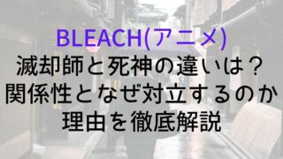 【BLEACH(アニメ)】滅却師と死神の違いは？関係性となぜ対立するのか理由を徹底解説