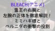 Bleach Spiritking Arm