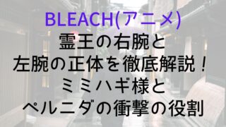 【BLEACH(アニメ)】霊王の右腕と左腕の正体を徹底解説！ミミハギ様とペルニダの衝撃の役割