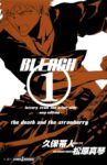 Bleach Syousetu1