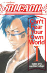 Bleach Syousetu4