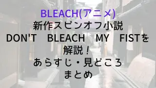 【BLEACH(アニメ)】新作スピンオフ小説DON&rsquo;T BLEACH MY FISTを解説！あらすじ・見どころまとめ