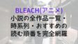 Bleach Novel Works