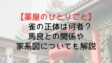 Kusuriyanohitorigoto Tch Who